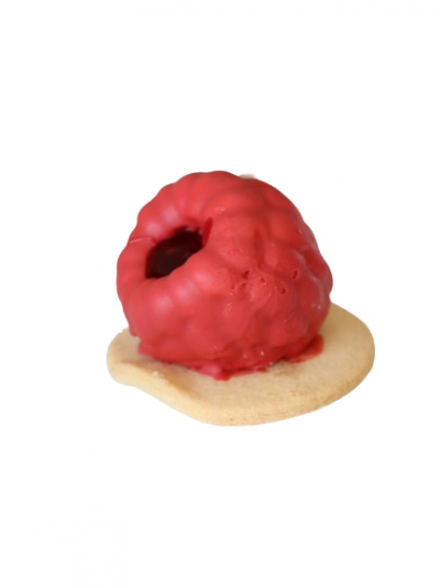 LAMPONE FRUTTA REALISTICA